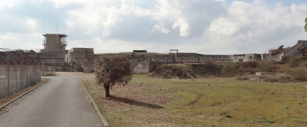 Browndown Battery Rear