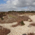 Browndown ranges