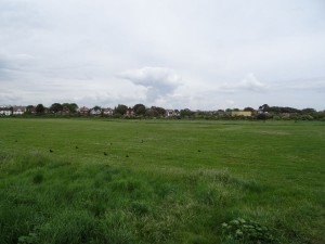 Gilkicker Gun Site 