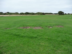 Gilkicker Gun Site
