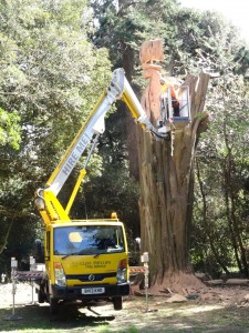 Tree Art in Stanley Park