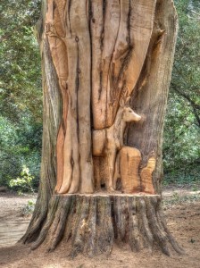 Trees Sculpture in Stanley Park