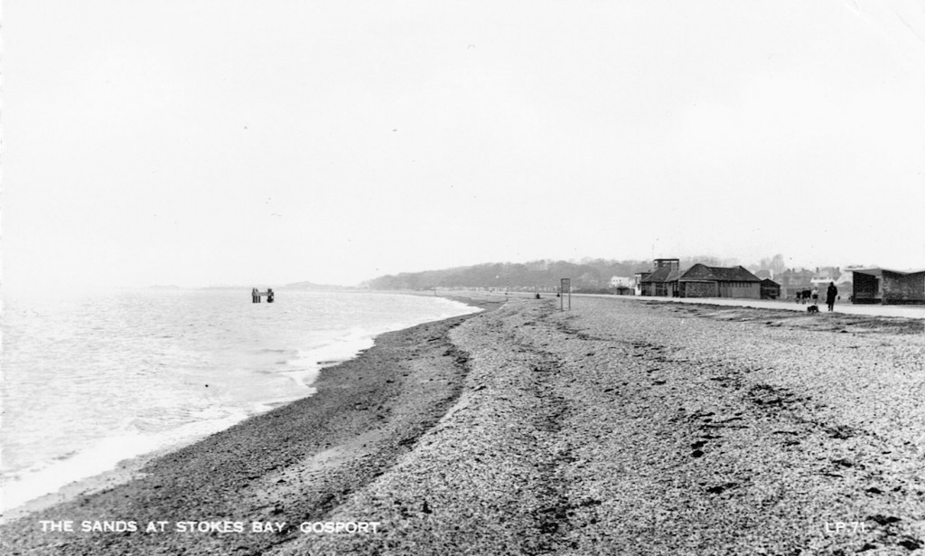 Stokes Bay Beach with dolphin