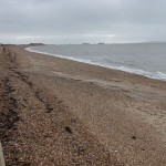 Hard G2 flexible concrete matting exposed during a storm in 2015.