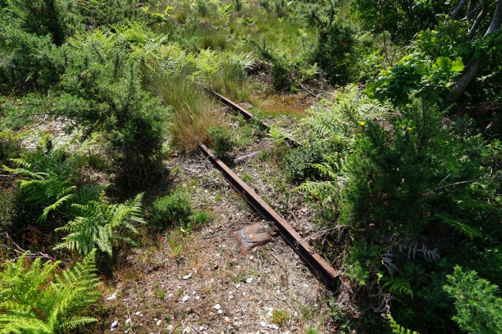 Browndown ranges