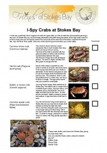 Crabs I-Spy Sheet