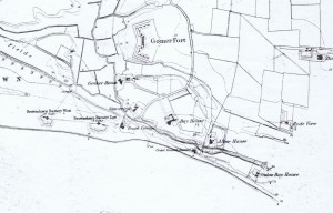 Stokes bay map 1856